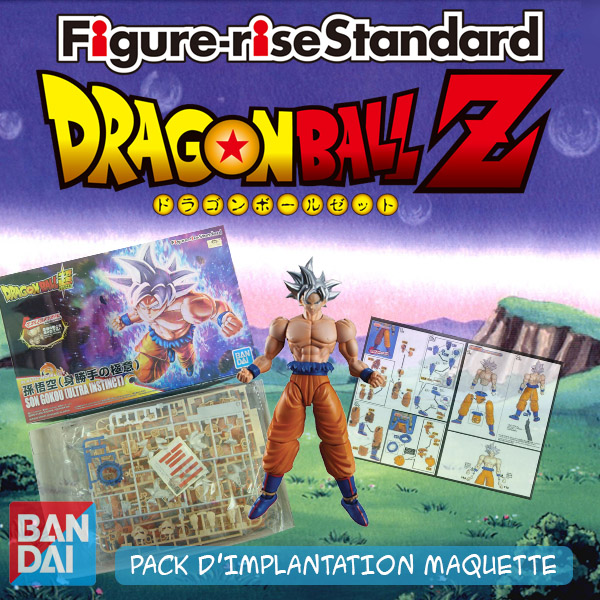 Pack Maquette DBZ FIGURE RISE Présentation Magasin